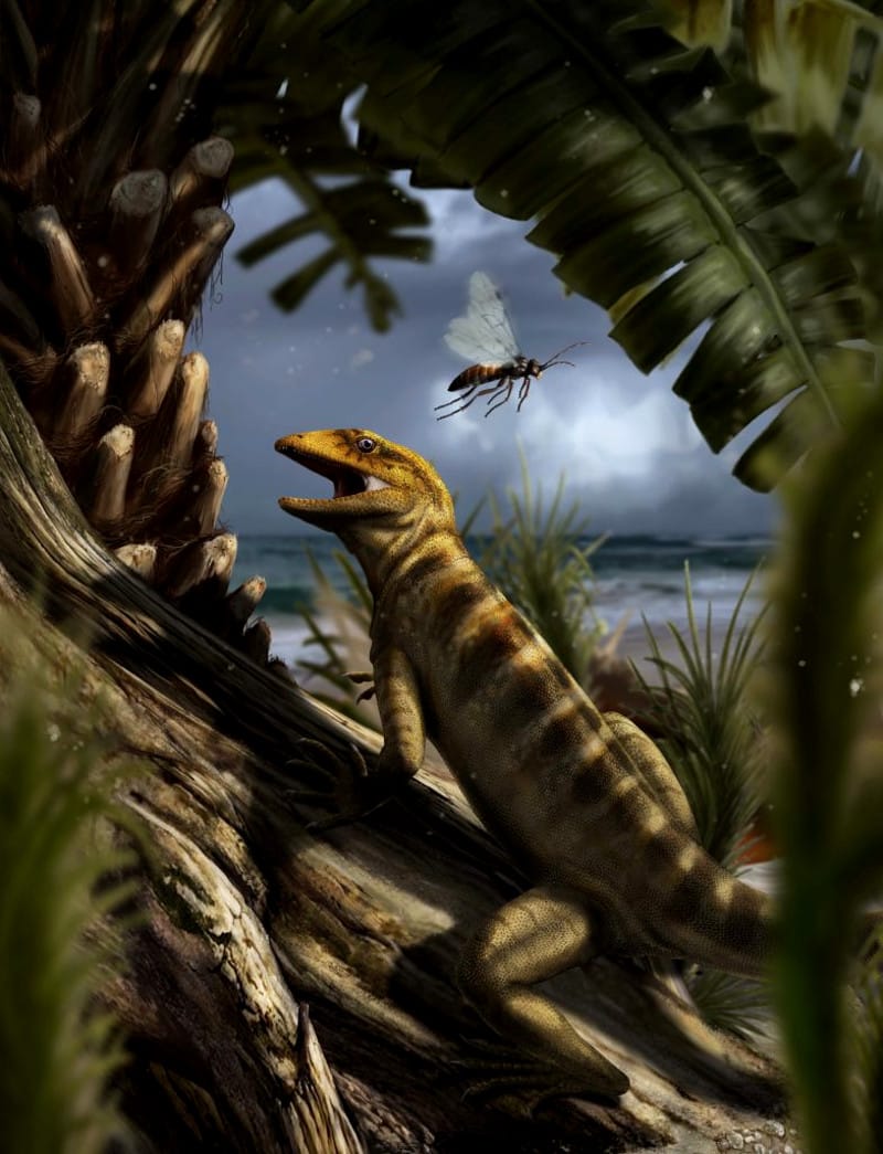 le_scienze's tweet photo. #paleontologia #evoluzione Scoperta sulle Dolomiti la lucertola più antica
https://t.co/31nQROIVUU https://t.co/07C6T1kHKA