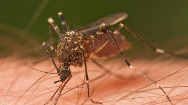 Mosquito spraying begins tonight in Hillsborough Co..  bit.ly/2xss8Gb