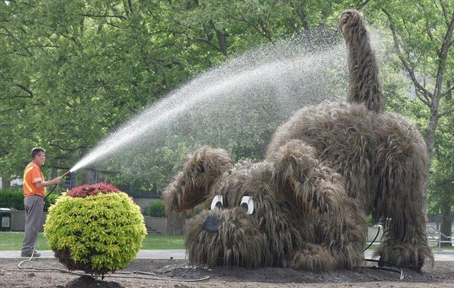 TheSpec's tweet photo. Meet Ralph. He's the creation of the @cityofhamilton horticultural staff #HamOnt https://t.co/4xHtajd0lw https://t.co/X0Fmo4N3vA