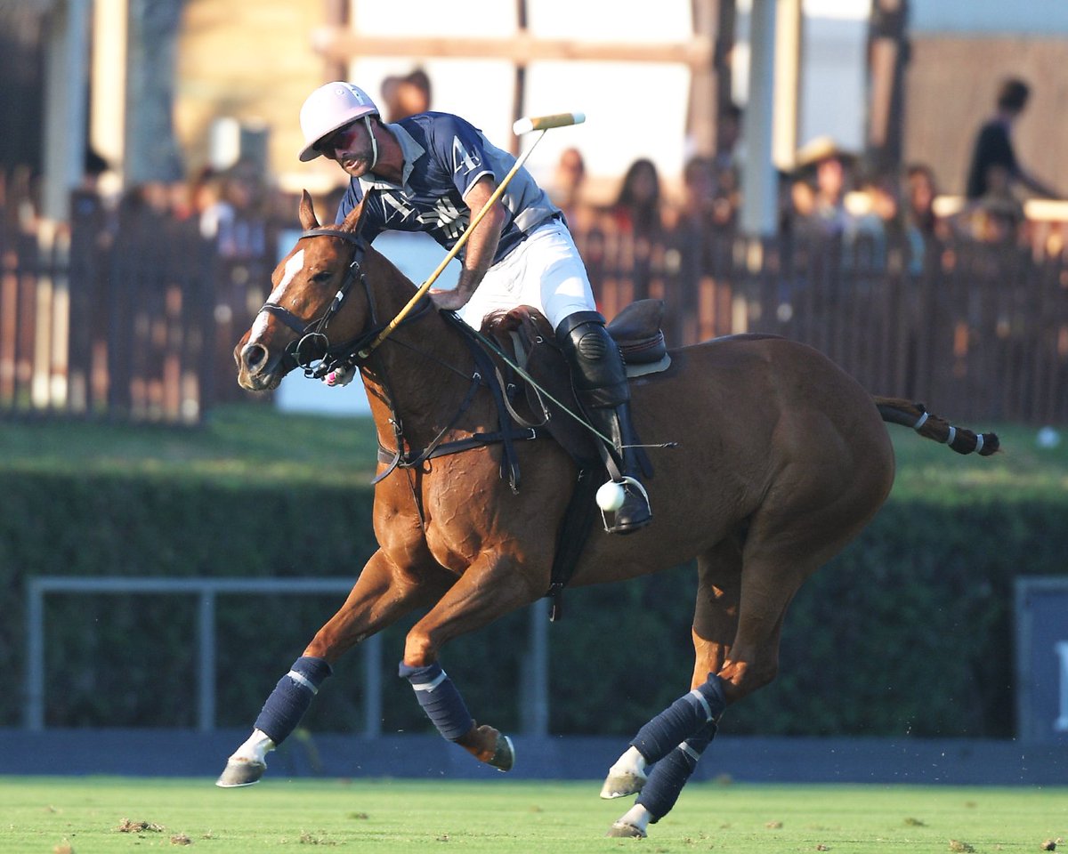 TorneoIntPol_EN's tweet photo. #torneointerpolo
August 2018 → 47 Torneo Internacional de Polo.
@ChukkerApp
https://t.co/8aiW0ulmca   @SantaMariaPoloC
#sotogrande   #horse   #polo4thepeople 
EnglisH:  @TorneoIntPol_EN  Photo: #snoopypolo https://t.co/Xpj8At3YAb