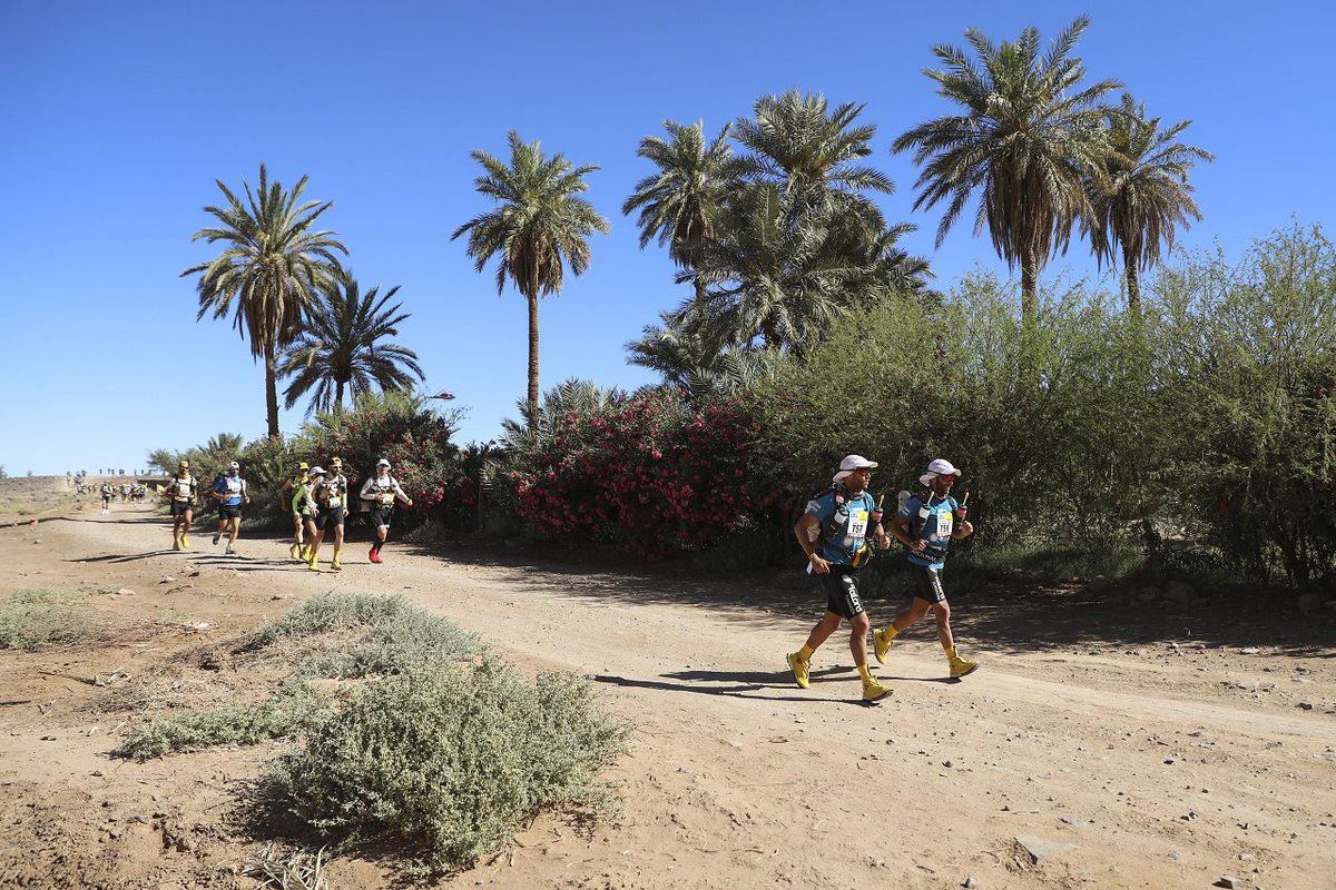 marathonDsables's tweet image. Nature, desert, adventure ... everything in one place 🌵 ☀️