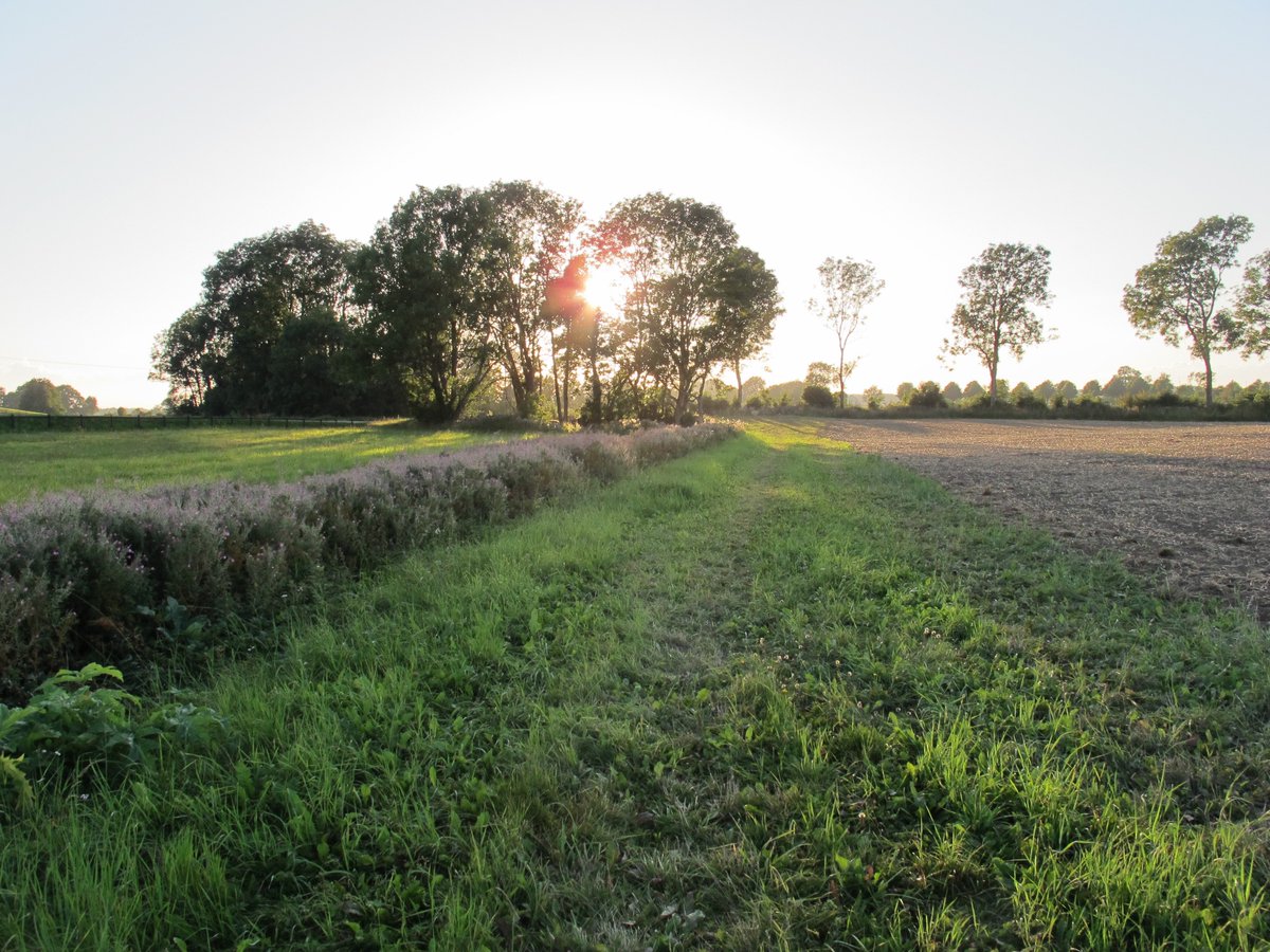 Lovisa Nilsson (@annamaitlovisa) on Twitter photo Result-based payments schemes for a more cost-efficient #CAP? New paper from <a href="/lunduniversity/">Lund University</a> out now: "Improving #agricultural pollution abatement through #resultbased payment schemes" #AES sciencedirect.com/science/articl… Result-based payments schemes for a more cost-efficient #CAP? New paper from <a href="/lunduniversity/">Lund University</a> out now: "Improving #agricultural pollution abatement through #resultbased payment schemes" #AES sciencedirect.com/science/articl…