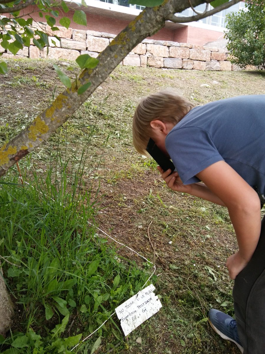 Projecte #PostdataMACBA, aquesta vegada en Nicolás Paris <a href="/MACBA_Barcelona/">MACBA | Museu | BCN</a> ens convida a investigar i a mirar un metre quadrat amb una mirada diferent. Nosaltres aprofitem per sortir a la Pollancreda del costat de l'escola:
