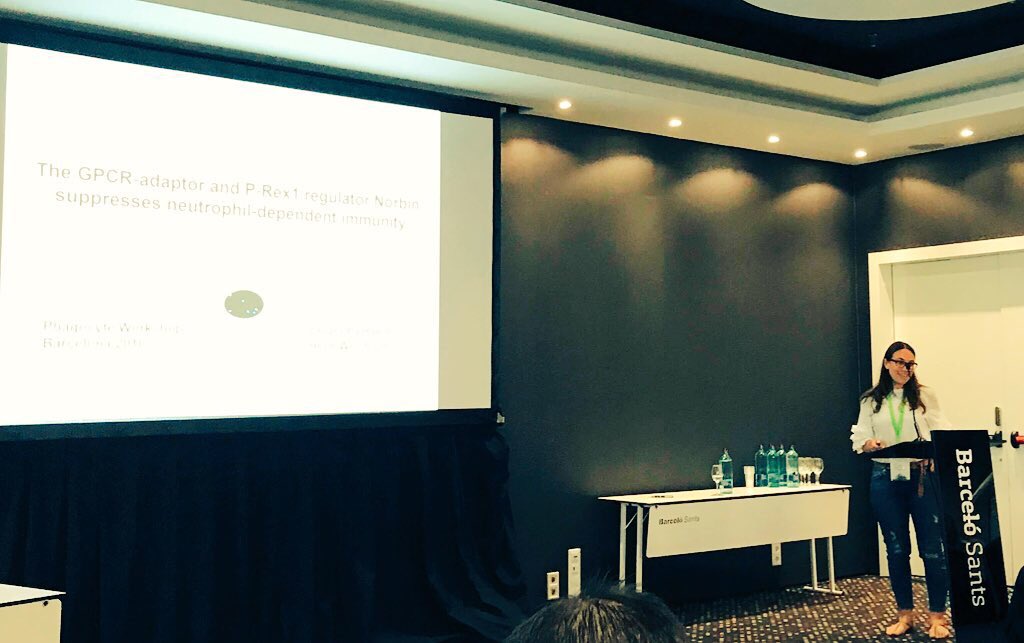 ChiaraPNT's tweet photo. I love my job, a constant challenge indeed, full of uncertainties and failures. It requires a lot of practice to tolerate the frustration of a hypothesis that turns out to be incorrect. But the joy of success is priceless. #sciencebastard #phagocytemeeting https://t.co/NKwFsWfcU8