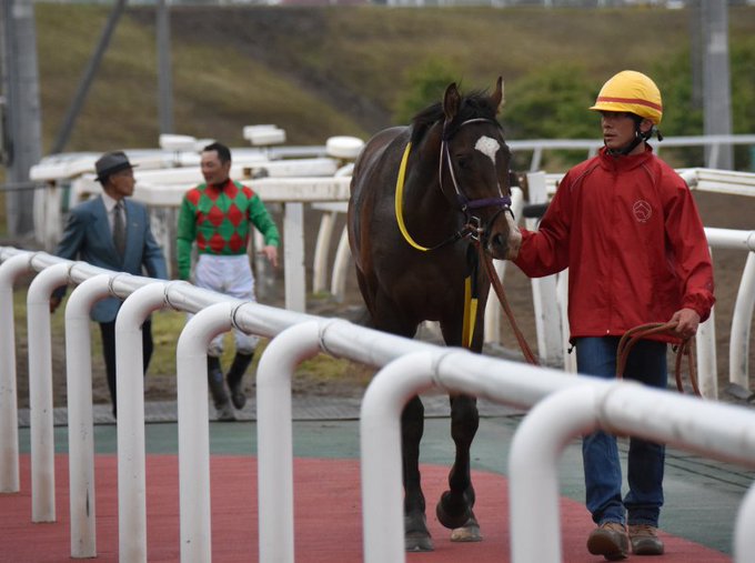 パカパカ工房 ワクチン4回接種済 Pakapakakobo 18年05月 Twilog パカパカ工房 ワクチン4回接種済 Pakapakakobo 18年05月 Twilog