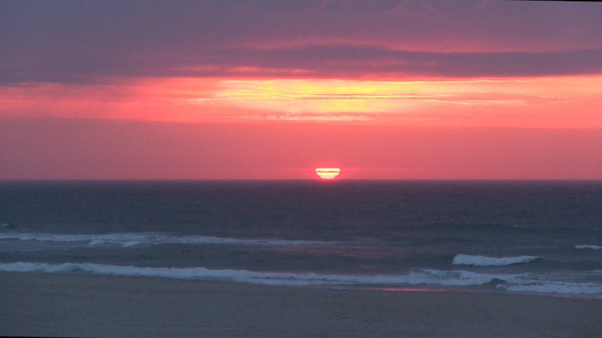 jack bushko tweet media