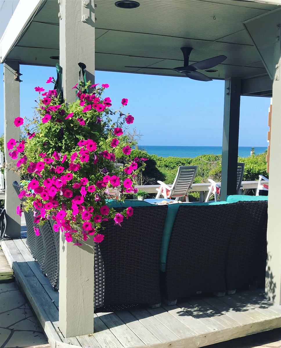 AtlantisLodge's tweet photo. Good morning! We hope you have a wonderful day and can come visit us soon! #mycrystalcoast  #atlantislodge #sunshine #pineknollshores #mycrystalcoast #crystalcoast #crystalcoastnc  #familyvacation #family #ncbeaches #nccoast #beach #vacation #ncvacation #petfriendly https://t.co/iRAqpkSkf8