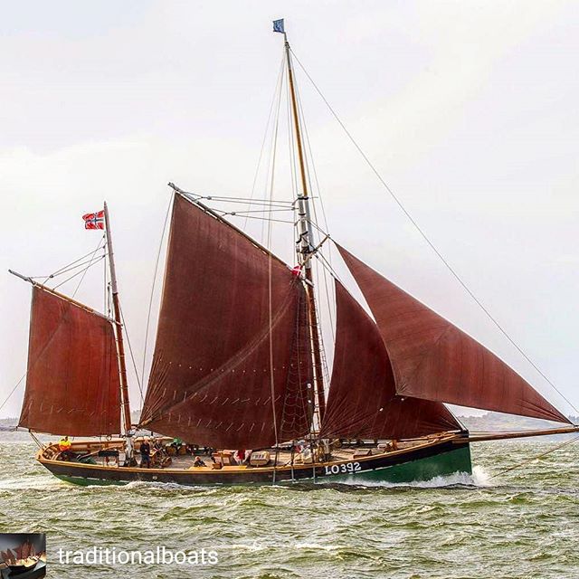 Regrann from @traditionalboats -  Beauty underway.
.
.
Shot by @boy_leslie
.
.
#boyleslie #traditionalsailing #sailingtrawler #brixhamtrawler #nrksørlandet #agderposten #regatta #tallship #kystkultur #seilskute #shortbluefleet #classicsailing #classicboat #woodenboat #woodenboats