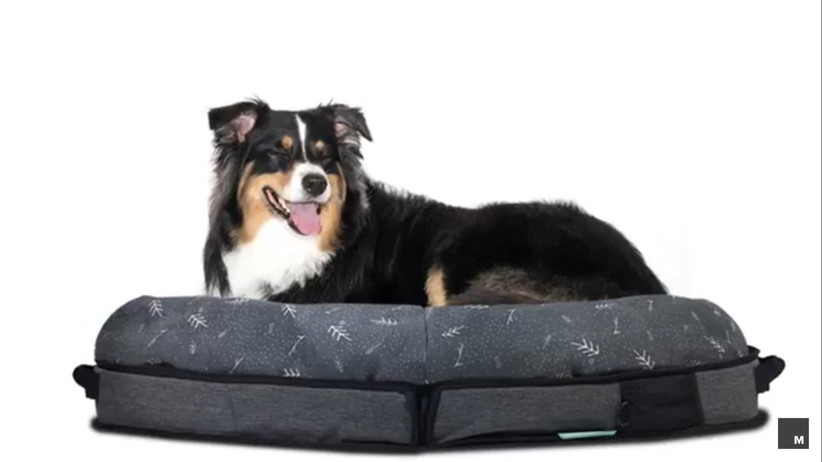 ApparelDo's tweet photo. There is only one thing better than traveling...traveling with your pooch! 

Who needs one of these?? 🤚🏽

#travel #travelbuddy #furbaby https://t.co/MlhqOHeUjG