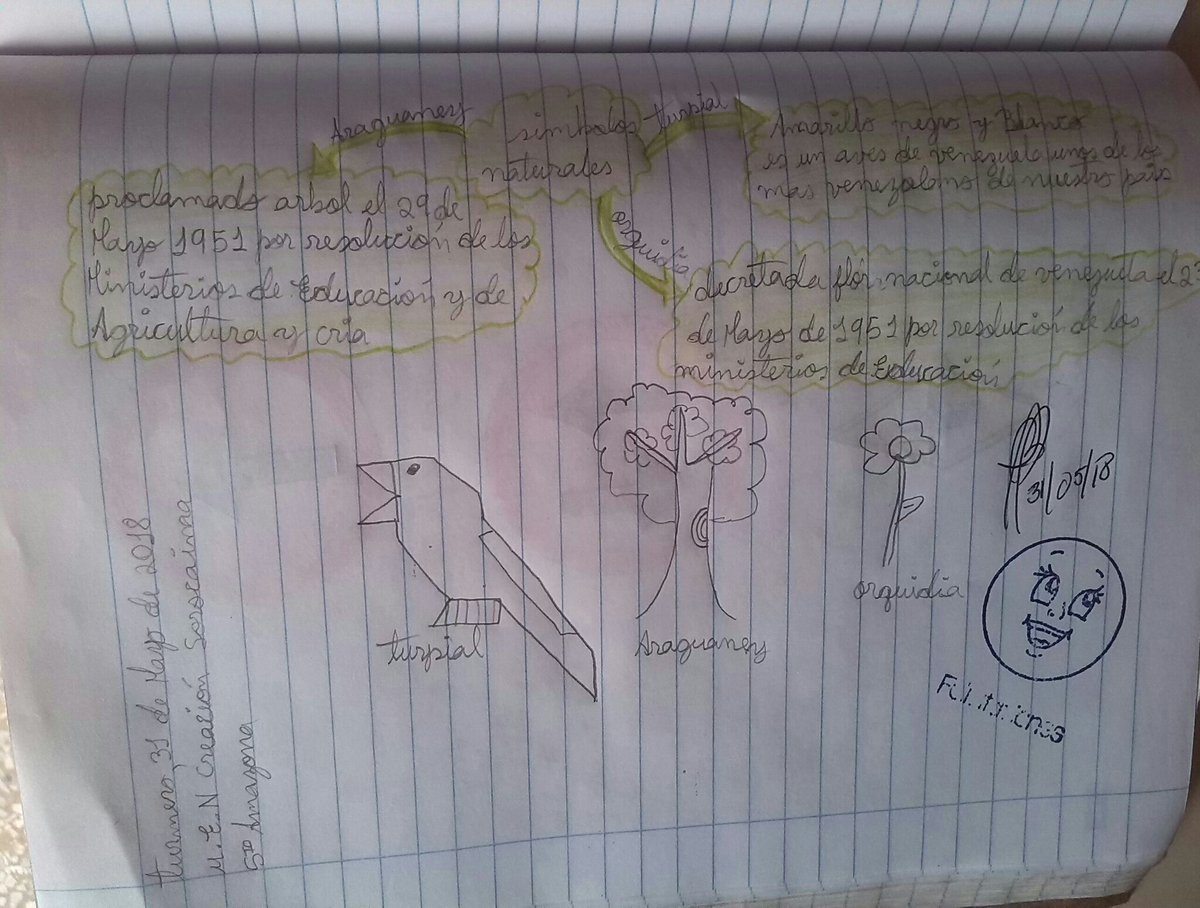 CBIT_EstebanL's tweet photo. Estudiantes de 5to grado rinde tributo a nuestros #SimbolosNaturales @FundabitAragua @vane_prieto https://t.co/MgQ9QHSnDd