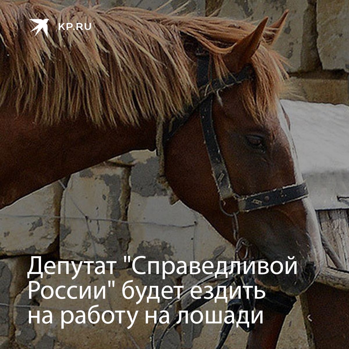 конь пришел а принц нет картинки. конь издох иду пешком. прикольный конь. приходить конь. конь в пальто прикол.