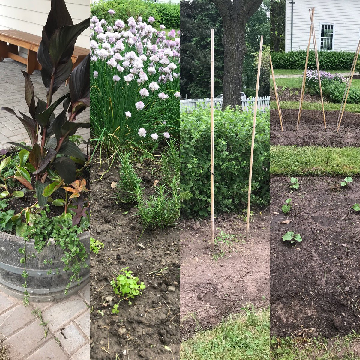 Thanks to our amazing horticulture team our garden is planted and ready to grow.  Come see our beans, squash, lettuce and much more. Updates to come.