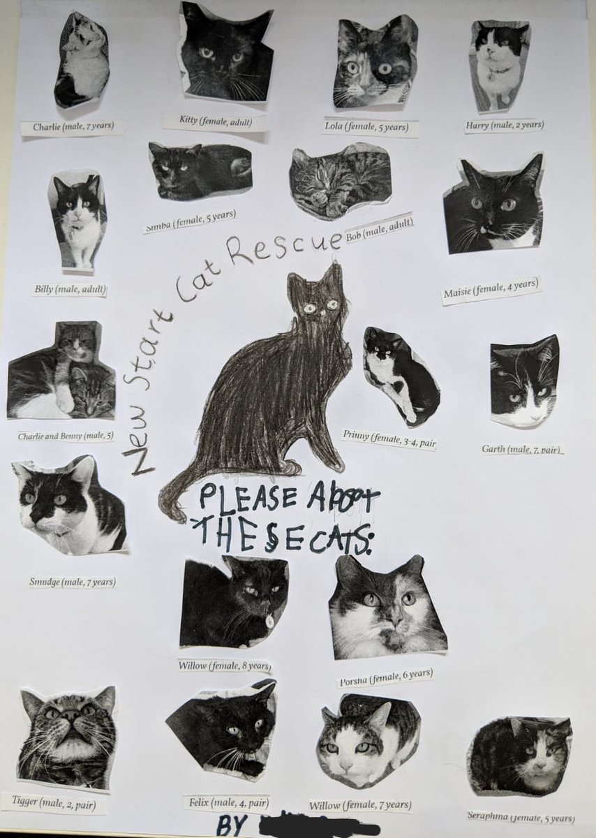 Cherry_Pott's tweet image. We recently adopted gorgeous Luna from @newstartcats and my 7 yr old wanted to encourage other people to adopt. So she made this poster! 😍 #AdoptDontShop