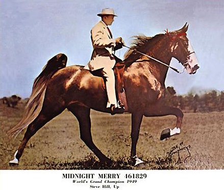 TWHAC's tweet photo. #TBT to the 1949 Tennessee Walking Horse World Grand Champion "Midnight Merry." #tennesseewalkinghorse #tennesseewalker #TWHNC https://t.co/v3LWIKCW41