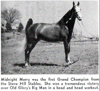 TWHAC's tweet photo. #TBT to the 1949 Tennessee Walking Horse World Grand Champion "Midnight Merry." #tennesseewalkinghorse #tennesseewalker #TWHNC https://t.co/v3LWIKCW41