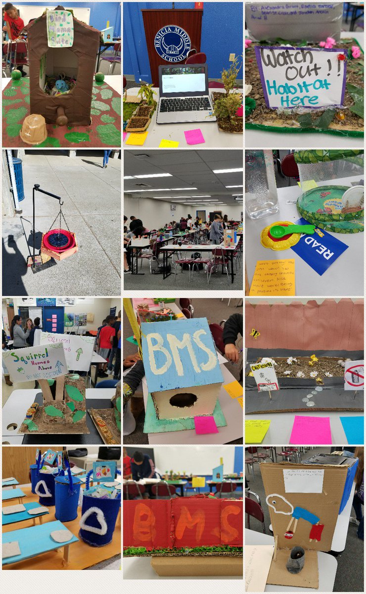 Today is the day! Our Habitat Solutions are on Display at BMS. I'm so proud of my students. #PBL #NGSS #Teambms #mystudentswillsavetheworld