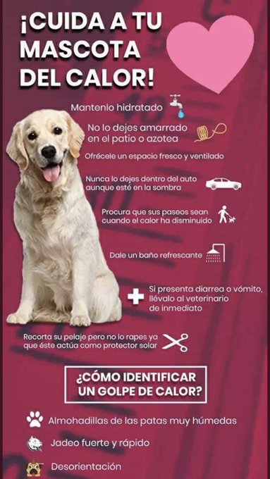Ver imagen en Twitter