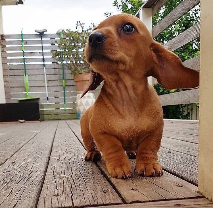 SuperCuteVideo's tweet photo. https://t.co/orr4PUWEF0