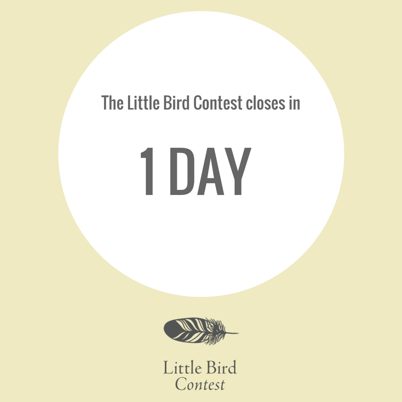 SarahSeleckyWS's tweet photo. Last call, dear writers. #LittleBirdContest submissions are due tomorrow (June 1st). Submit your story to be read by @GillerPrize nominee and you might walk away with the $1,000 prize! https://t.co/oZc44tflos https://t.co/dMTN75JTM9