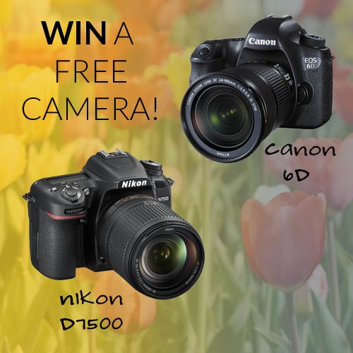 Have you entered to win a FREE Nikon D7500 or Canon6D? You choose! Enter today! #giveaway #photographer #photography #dslr
photographergiveaways.com/8