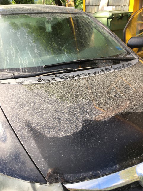 LaNouvelleNet's tweet photo. «On mange de la poussière» à Saint-Norbert #MUNICIPAL @VictoRegion https://t.co/iyYOJZoV2V https://t.co/337AGl2QPp