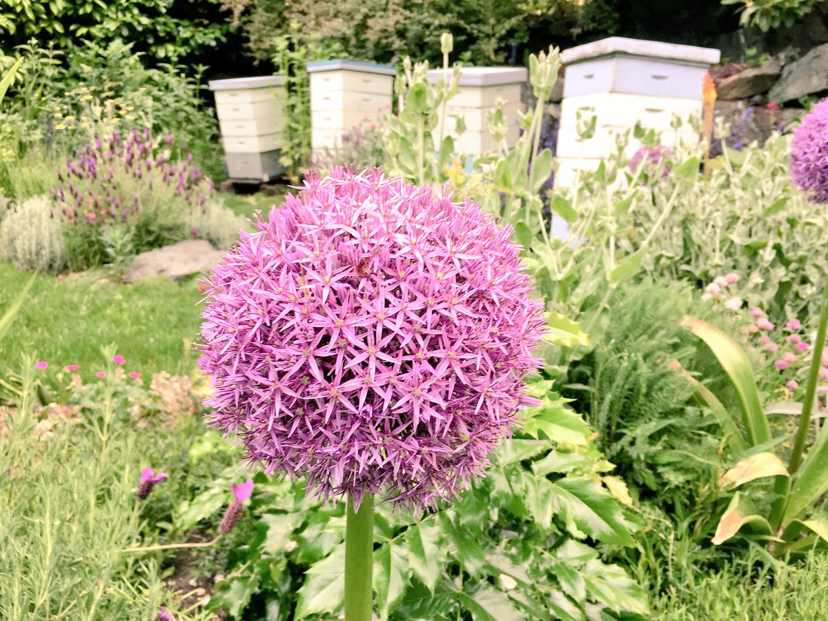 Powder Matt tweet media