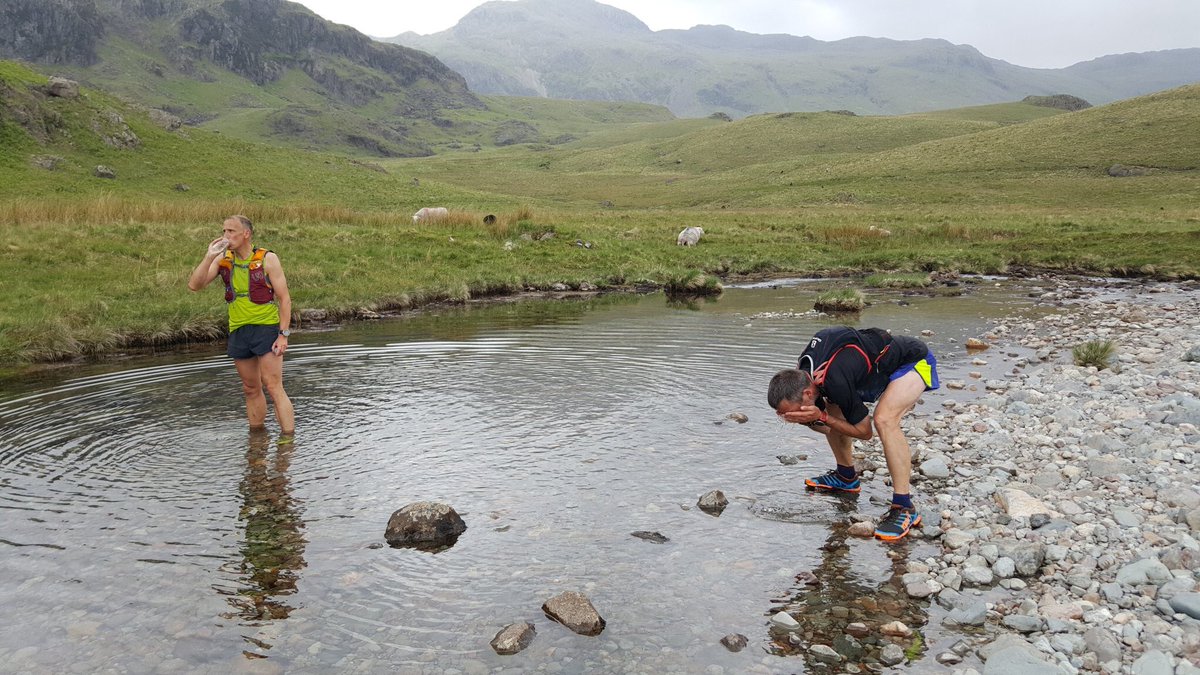 fox_highland's tweet photo. @mckenzien12 @gormatt Caption competition for this one:-) https://t.co/mrW37TGlN7