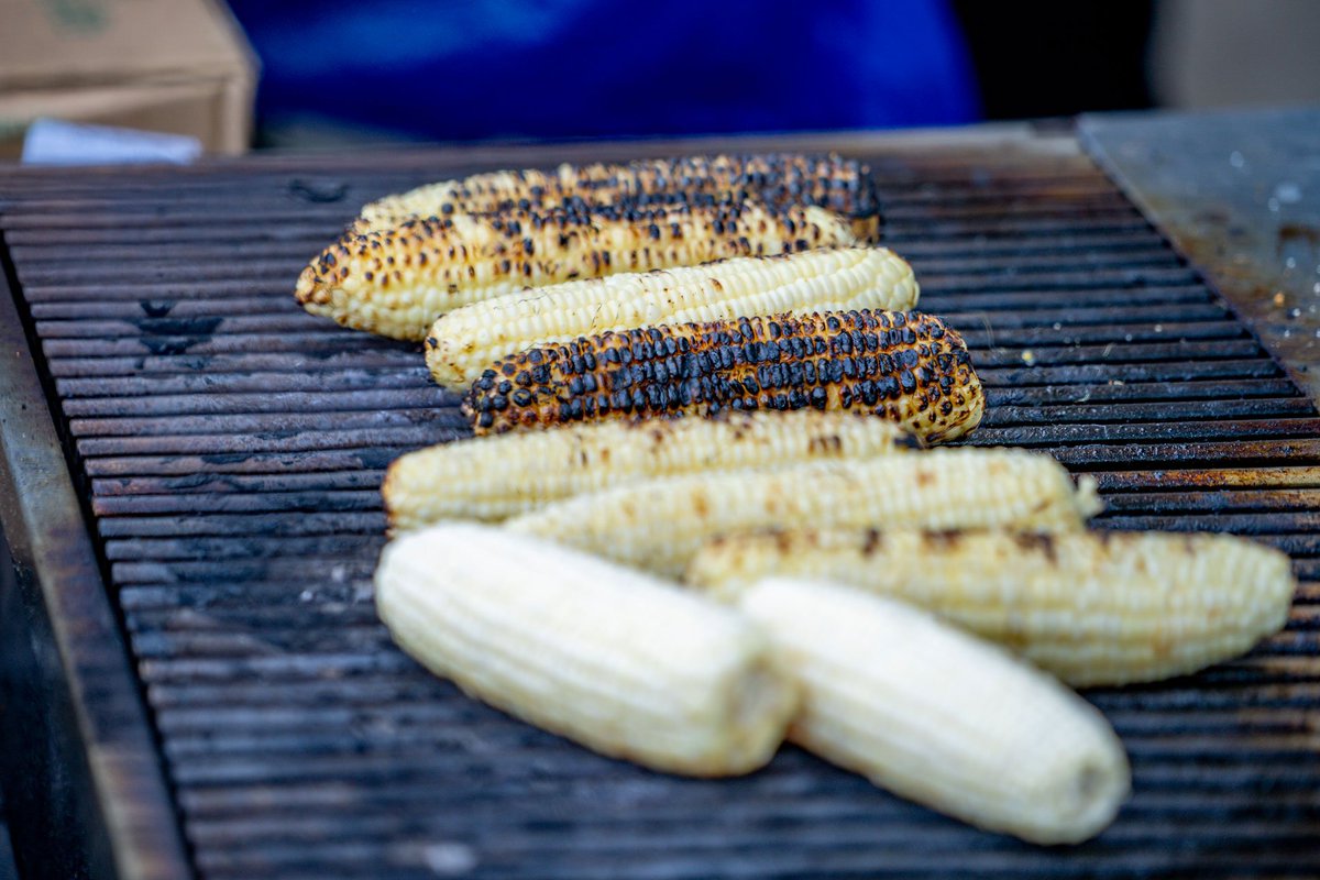 Sail Philadelphia tweet media