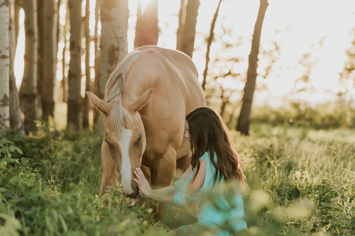 haleyjphoto's tweet photo. Give me all the seniors that have the same horse obsession as me 😍🐴🌼 https://t.co/eLISZBZeZu