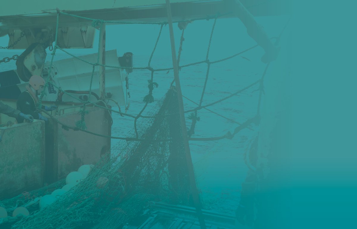 "Styrkir leiða til aukins útflutnings, en þau áhrif eru mikilvæg bæði fyrir styrkþegana sjálfa og samfélagið vegna aukinna gjaldeyristekna"
(Áhrifamat Tækniþróunarsjóðs 2009-2013)