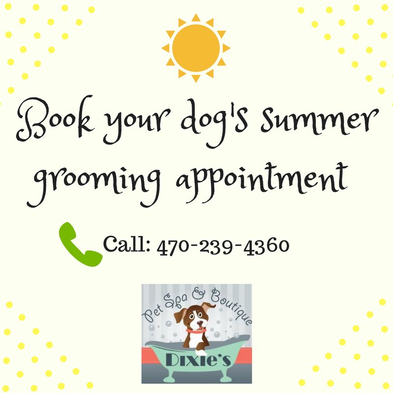 Dixiespetspa's tweet photo. Itโs that time of year! Weโd love to set you up with an appointment. Just give us a call! #CallNow #Summer #BookAppt #Petgrooming #Doggroomer #Dogs #ForsythCounty https://t.co/kiZkMtoSyc