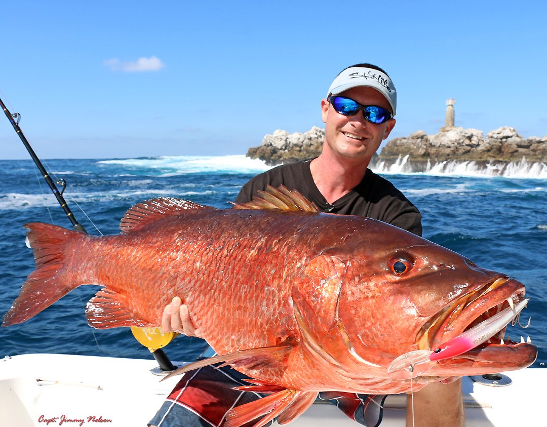 CaptJimmyNelson's tweet image. TBT to catching big cubera snapper on 3D deep diving Crystal Minnows @YO_ZURI @FishinwithLuiza @RealSaltLife @BubbaBlade @EngelCoolers @papaspilar @BassProShops #cuberasnapper #captjimmynelson
