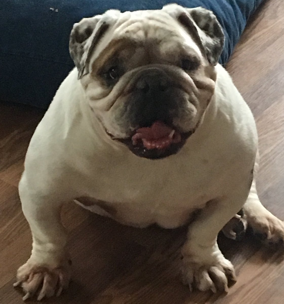Happy #NationalSmileDay from Doc