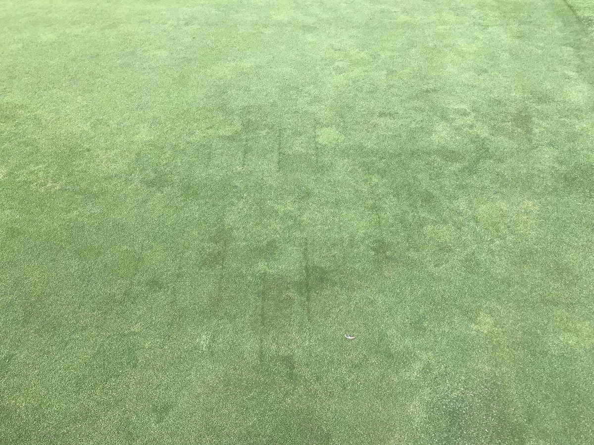 Sam Holysz tweet media