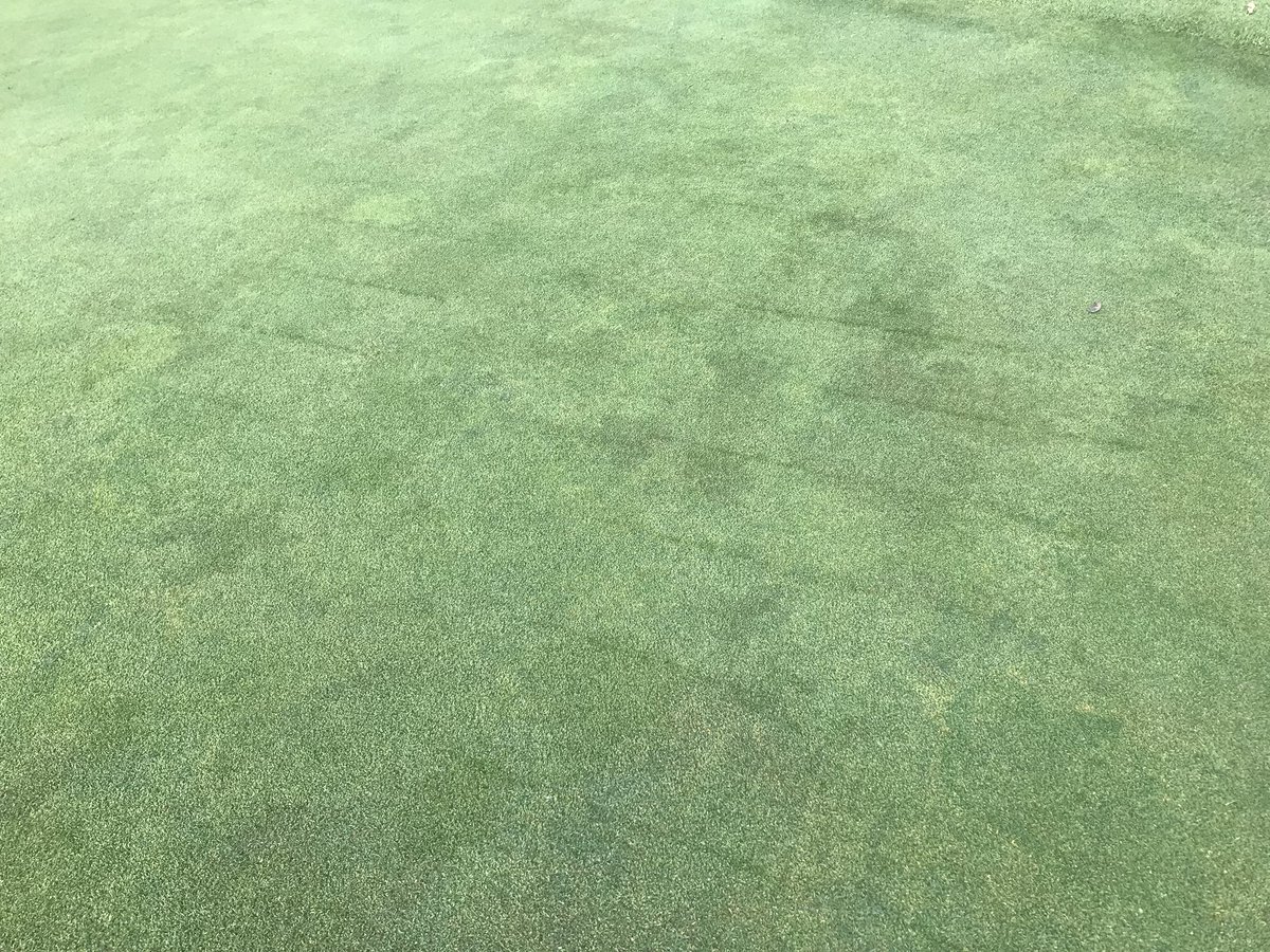 Sam Holysz tweet media