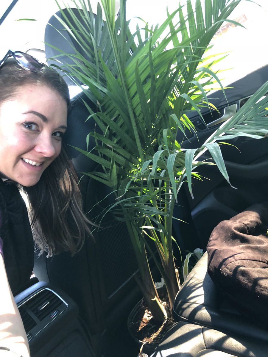 KeepChicagoLivable tweet media