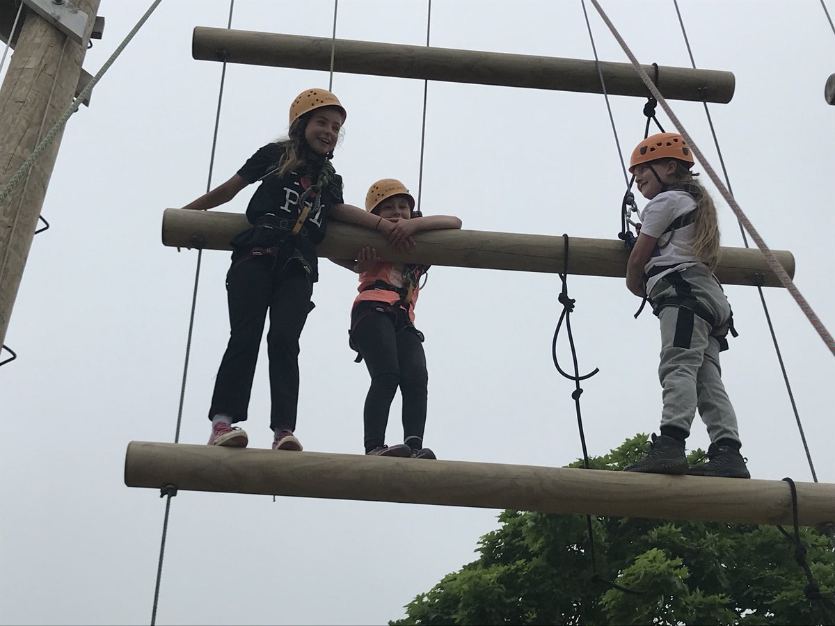 Lillington School Y6 tweet media