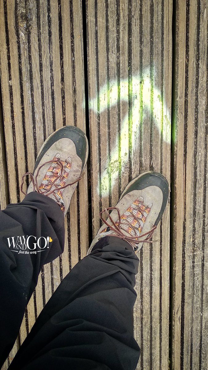 acaminosantiago's tweet photo. Following #arrows get your goal

Persiguiendo #flechas llegas a la meta

@treksta_official
https://t.co/3m6PpDL4dA 

#CaminodeSantiago #peregrinos #pilgrims #wayofstjames #jakobsweg #camminodisantiago #cheminstjacques #flechasamarillas #yellowarrows #shell #viajeros #travellers https://t.co/QxP5itOIe4