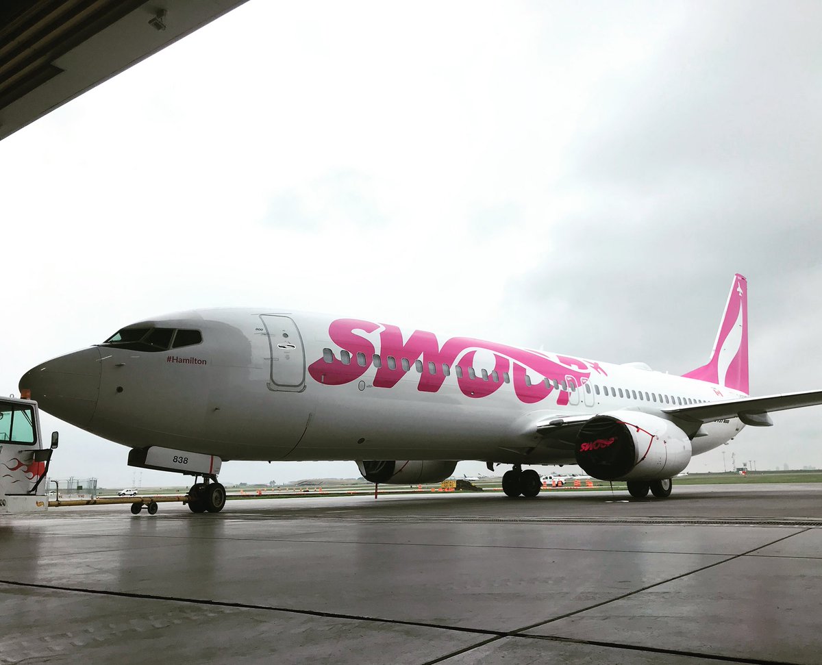 bambooyyc's tweet image. She’s ready for her close up! #flyswoop