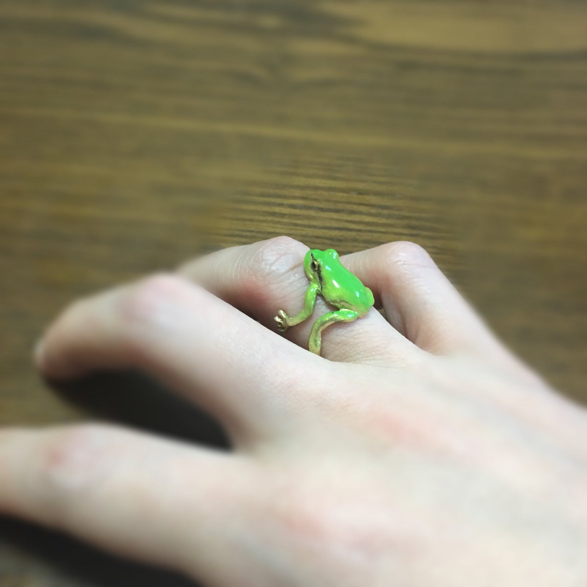 あお青むし Twitter પર ちょっと前だけど すっごくかわいいアマガエルの指輪買った アマガエル好きにはたまらん これつけて中国に行こう 初めての海外なのに一人で飛行機とか心配すぎるけど 初めての海外が引越しなのもありえんけど Ninaendlesseive