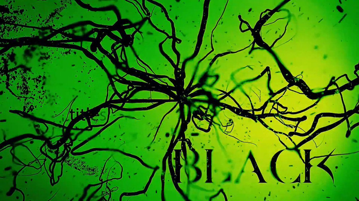 RadioMetal's tweet image. .#MichaelRomeo (@symphonyx) dévoile la lyric vidéo de la nouvelle chanson « Black » : radiometal.com/article/michae…