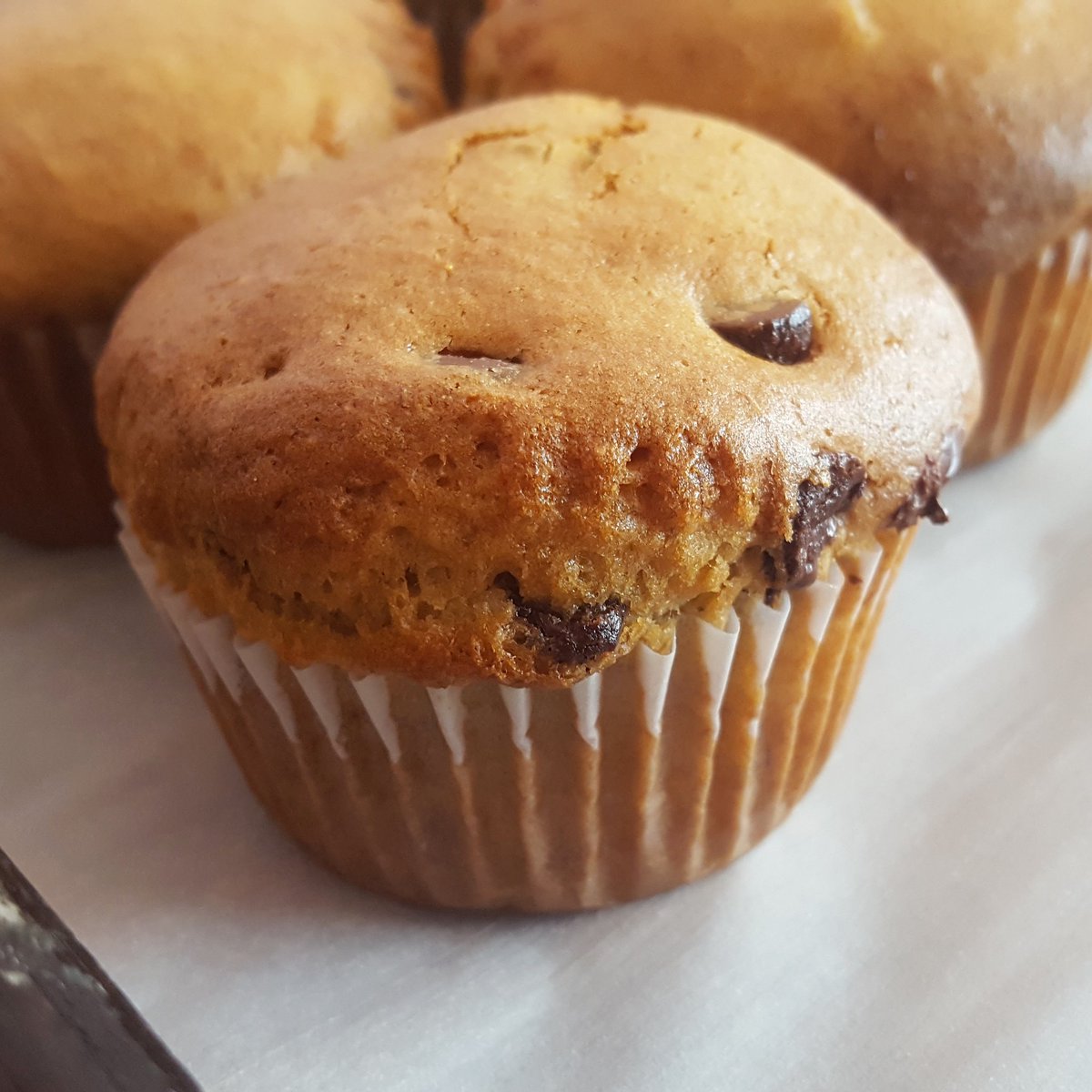 CelebrateGlutenFree tweet media