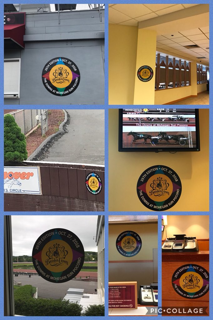 DownsAtMSP's tweet photo. Getting Breeders Crown-ready! The countdown is ON to Oct. 27th! #Crown18 #phha #itallcomesdowntothebreederscrown @Breeders_Crown @HarnessRacingFZ @USTrotting @DRFHarness @ThePHHA https://t.co/xkjwIt9TSa