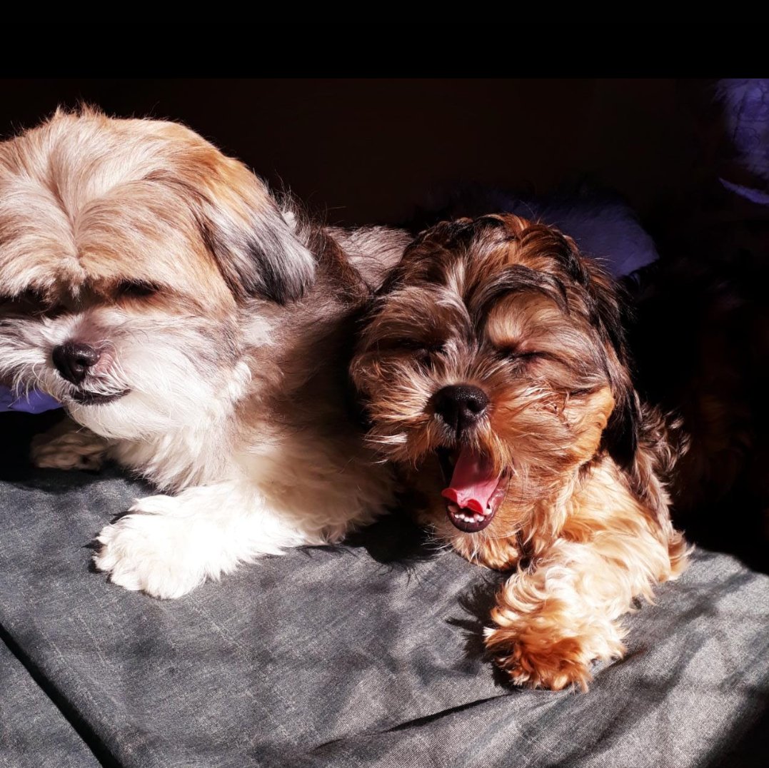 Nesse feriado nós tá como!