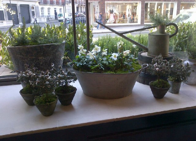 Enliven your space, grow your business and take joy in all spring has to offer--with fresh flowers and #CorporateDisplays from TodichFloralDesign.co.uk! #corporateflowerslondon #corporateflorist #londonflorist #flowers #florist