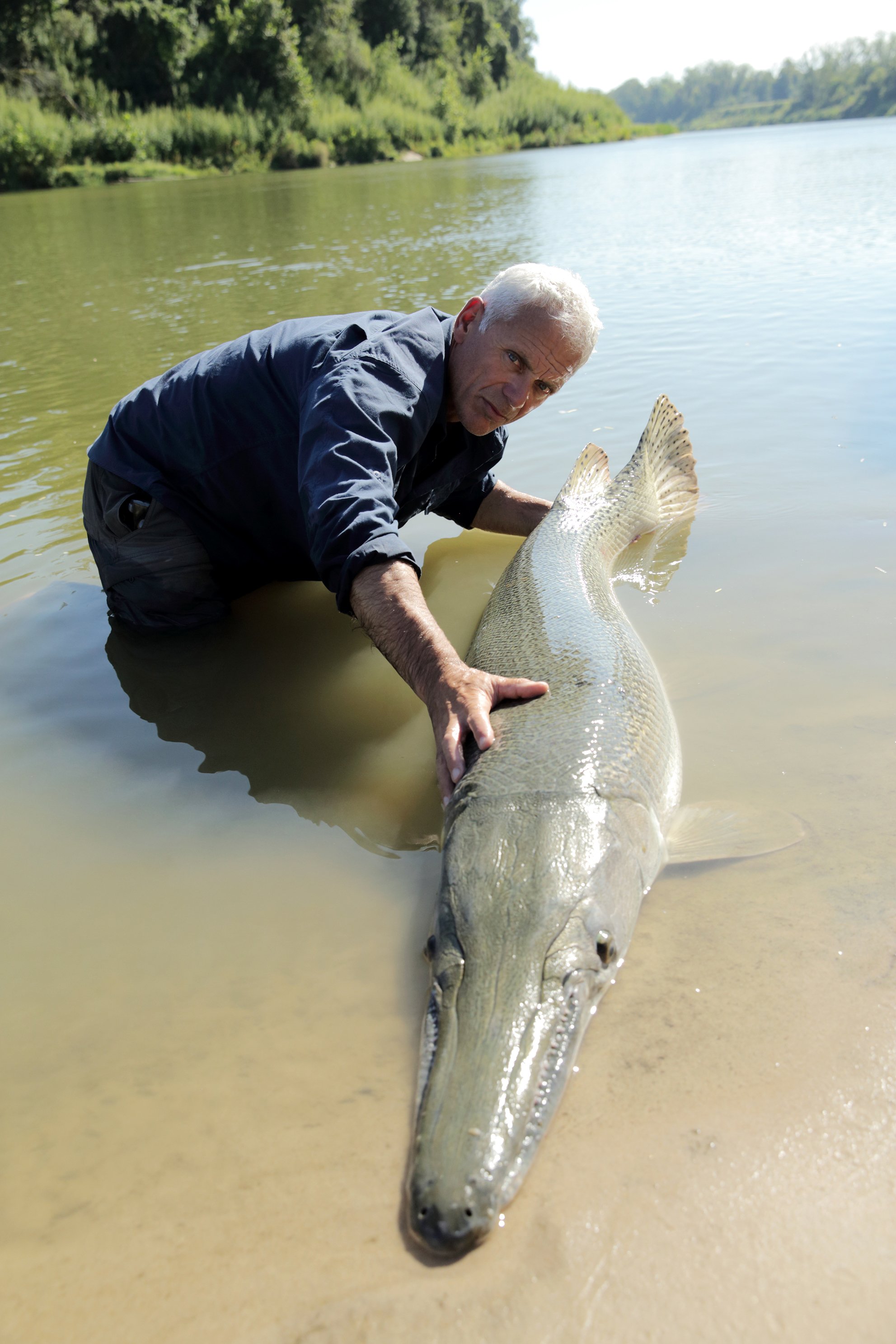 River Monsters on X: "#DYK Gar fish are ancient animals that have been swimming Earth's waters for more than 135 million years. They were in the waters when dinosaurs were roaming the