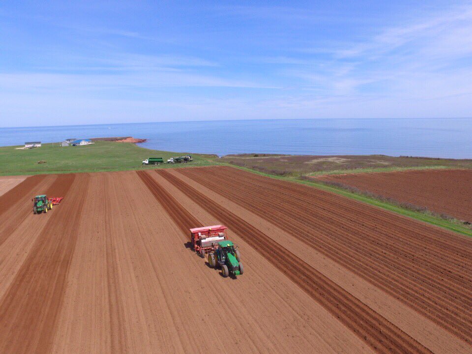 #plant18 on the north shore today <a href="/PEIPotatoes/">PEI Potatoes</a>