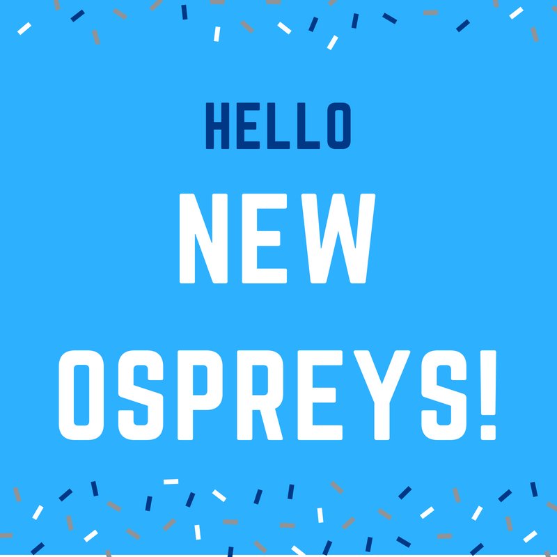 UNFUGStudies's tweet photo. The First Year Advising Office has loved seeing all of our new Ospreys coming for Orientation! Welcome to the nest! #SWOOP #UNFStudentSuccess https://t.co/Lf2mIq65w8