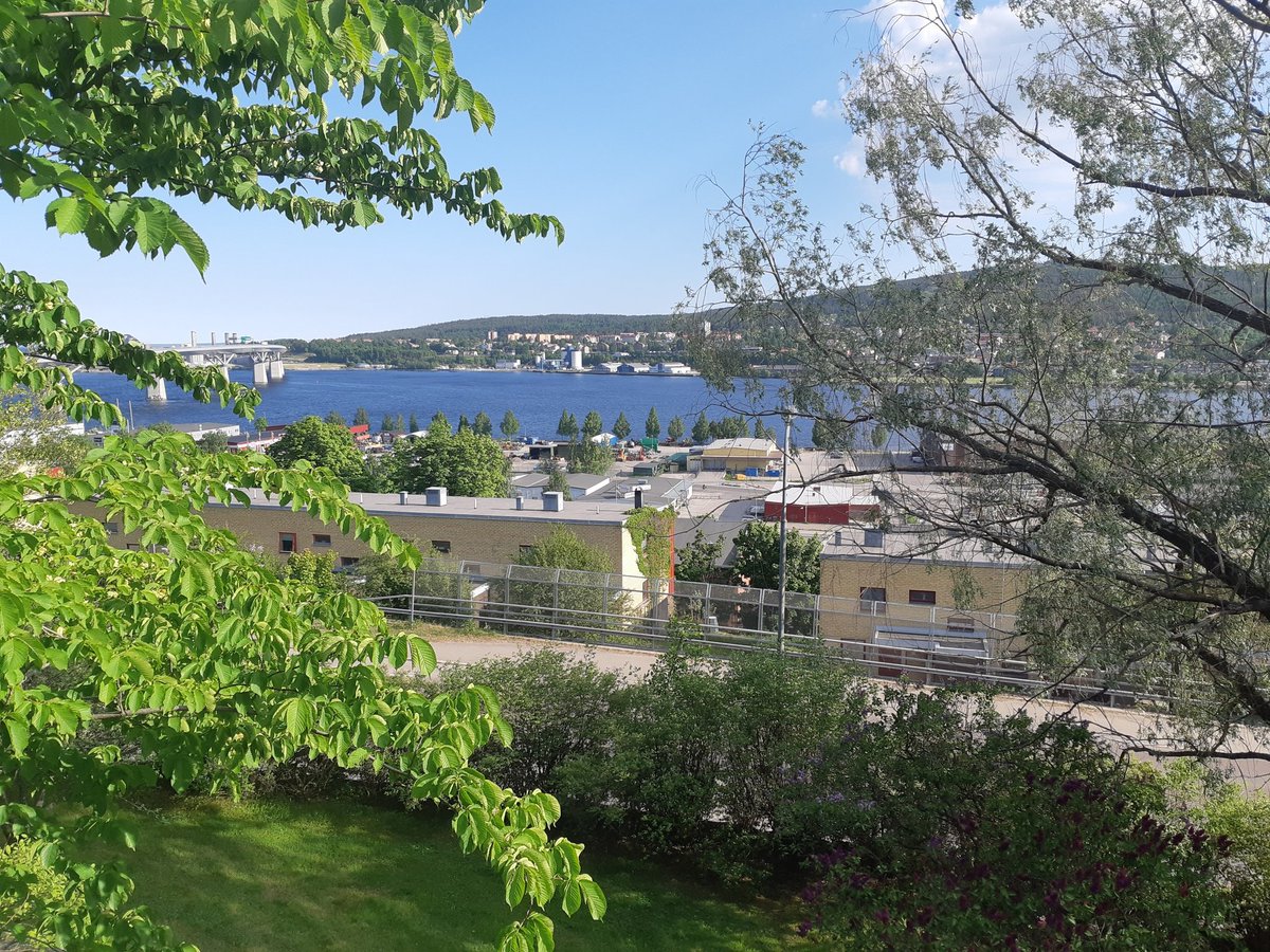 david_cvach's tweet photo. Thanks @emilkallstrom for organizing such a great visit today in sunny Västernorrland ! Excellent meetings with clean and green tech start-ups @RISEProcessum, @SEKABcom, #Absolicon and with leading forest industry company @sca.
#InnovationFRSE
#bizmakerday
@anbrak https://t.co/P1vcNfVuKK