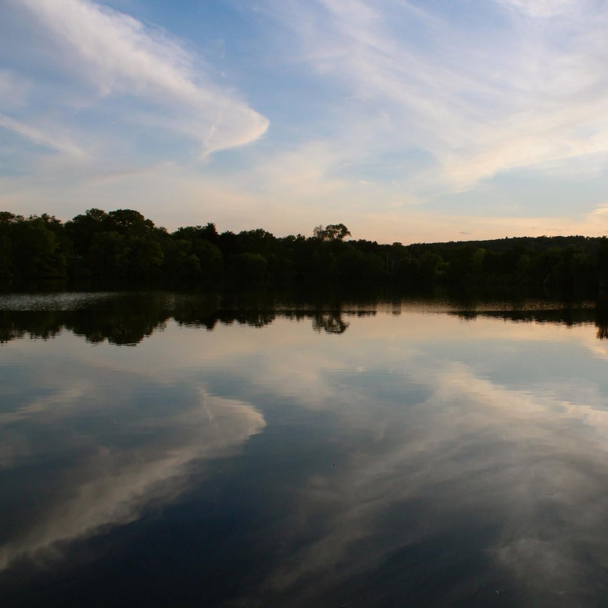 TheLoadingDockM's tweet image. Stay beautiful, Belmont. #TheLoadingDock